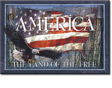 America - Land of the Free - Magnet