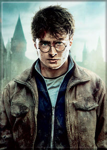 Harry Potter - Harry Standing - Magnet